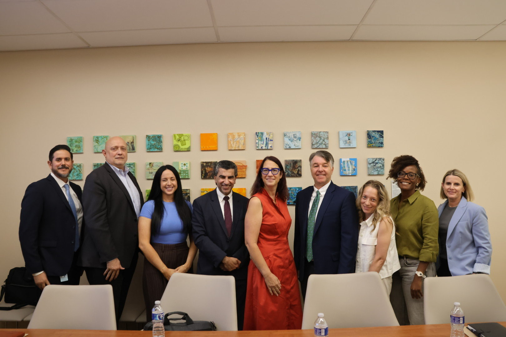 LSF Healthcare Advisory Committee
