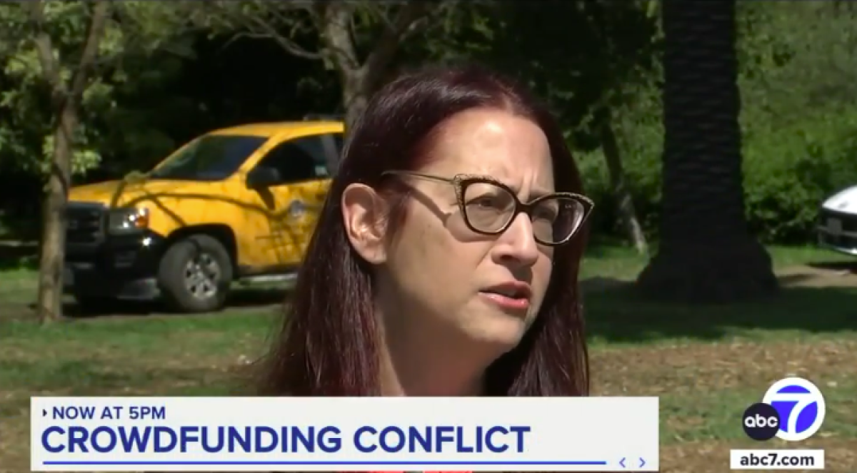 Laura Friedman on ABC7
