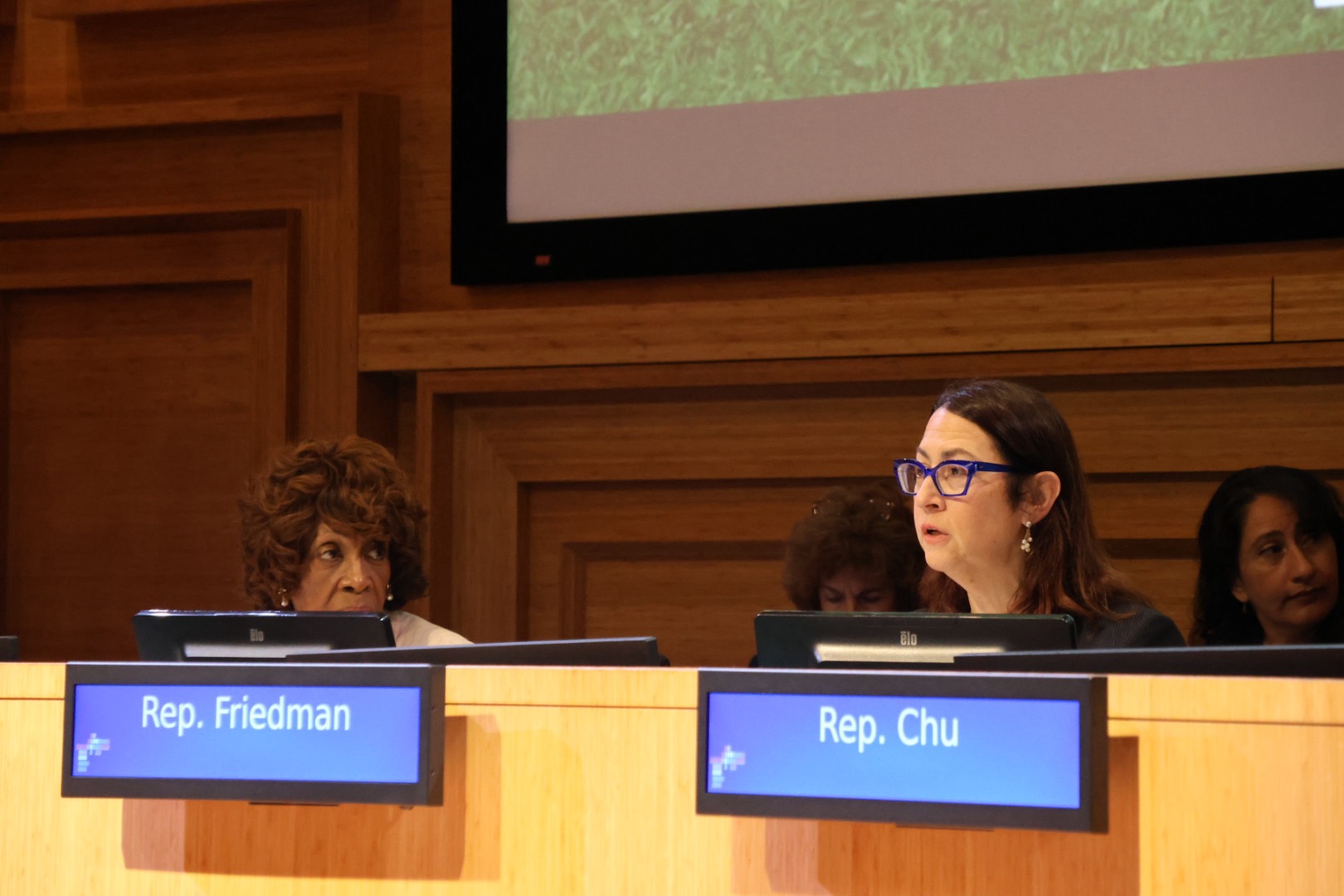 Rep Friedman Olympics Panel