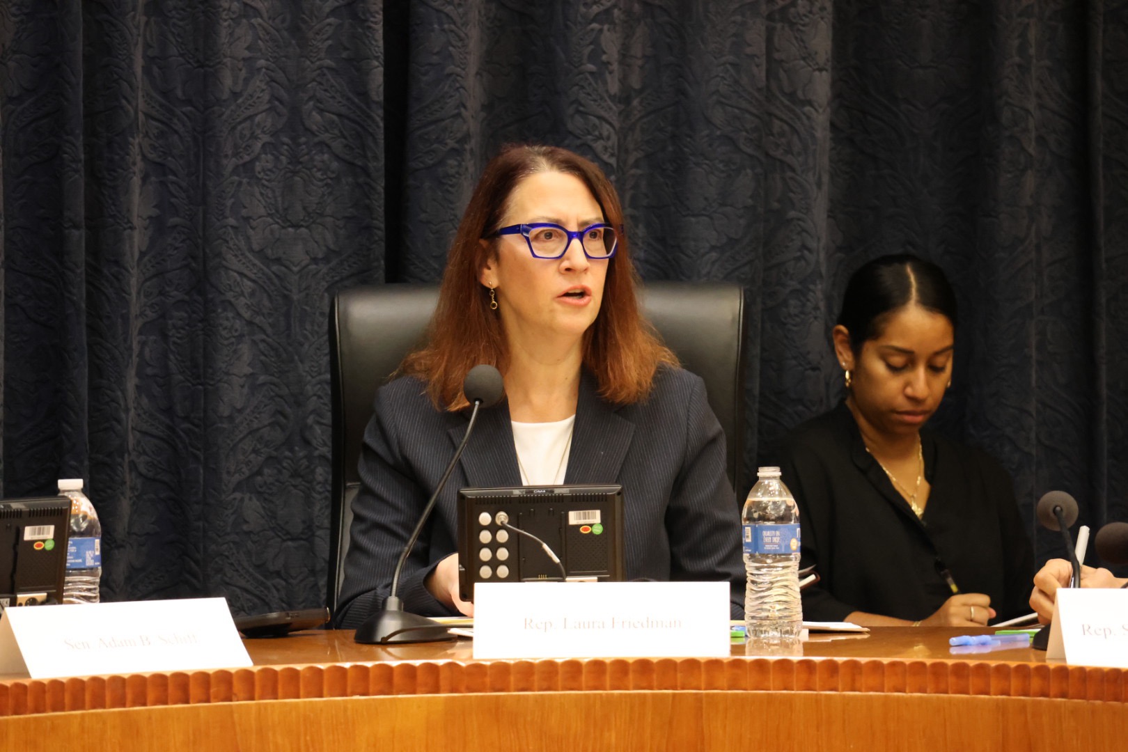 LSF at spotlight hearing 2