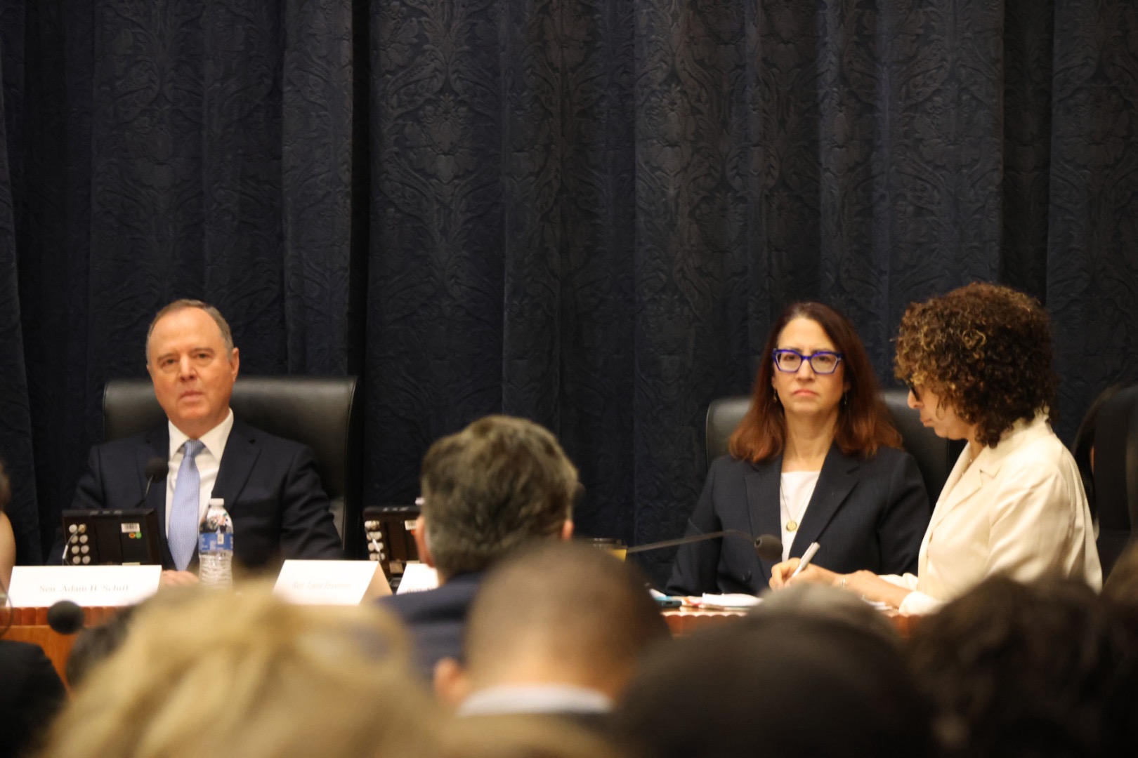 LSF, SCD, and Schiff at spotlight hearing