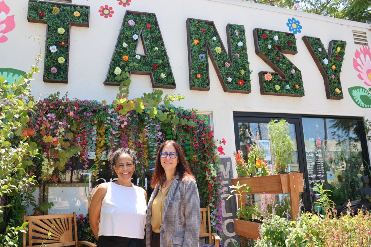 LSF at Tansy