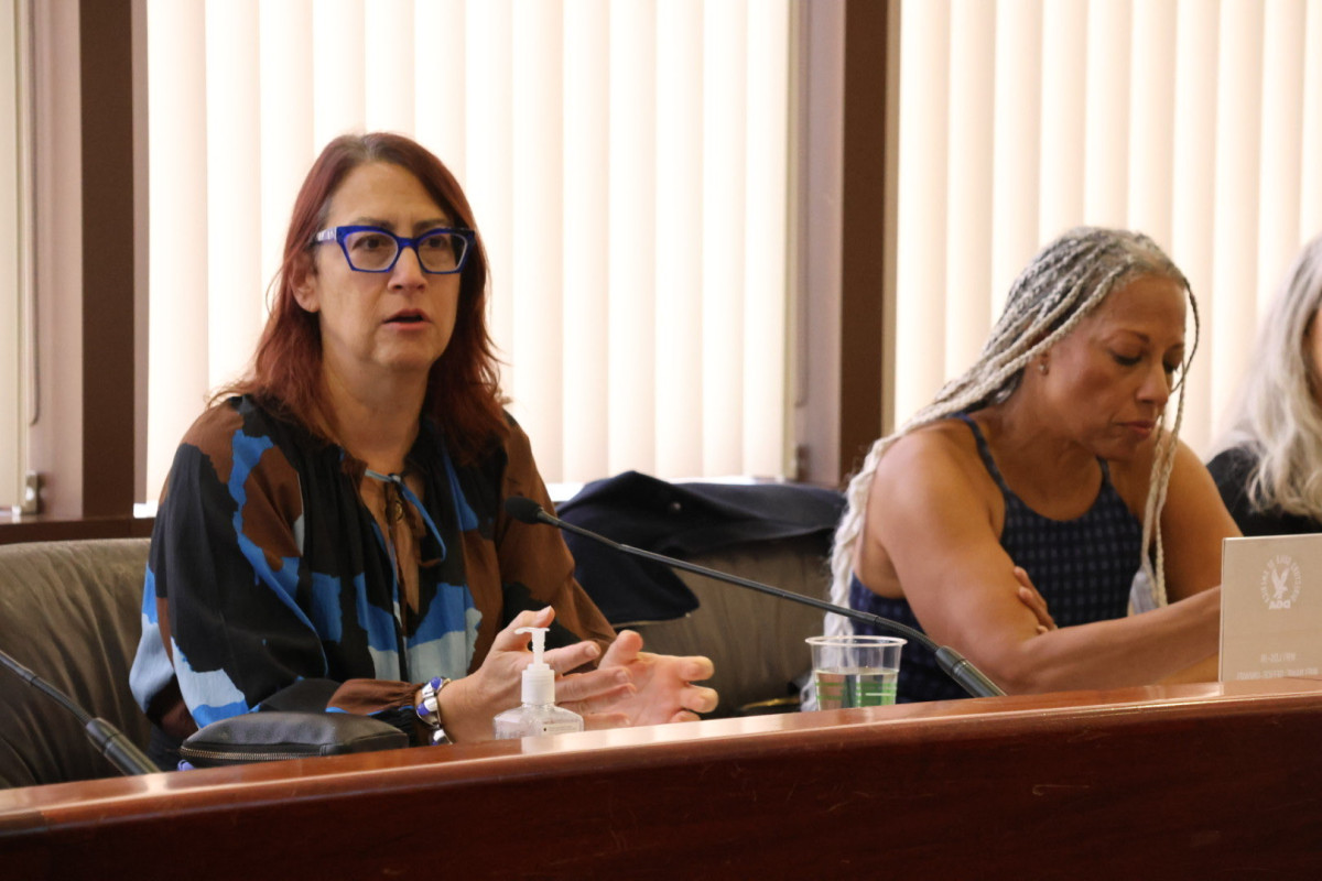 Rep. Friedman at DGA Meeting