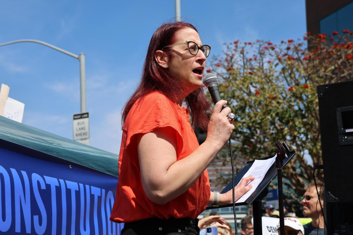 Above: Friedman speaks to crowd gathered at the March for Our Constitution Protest.