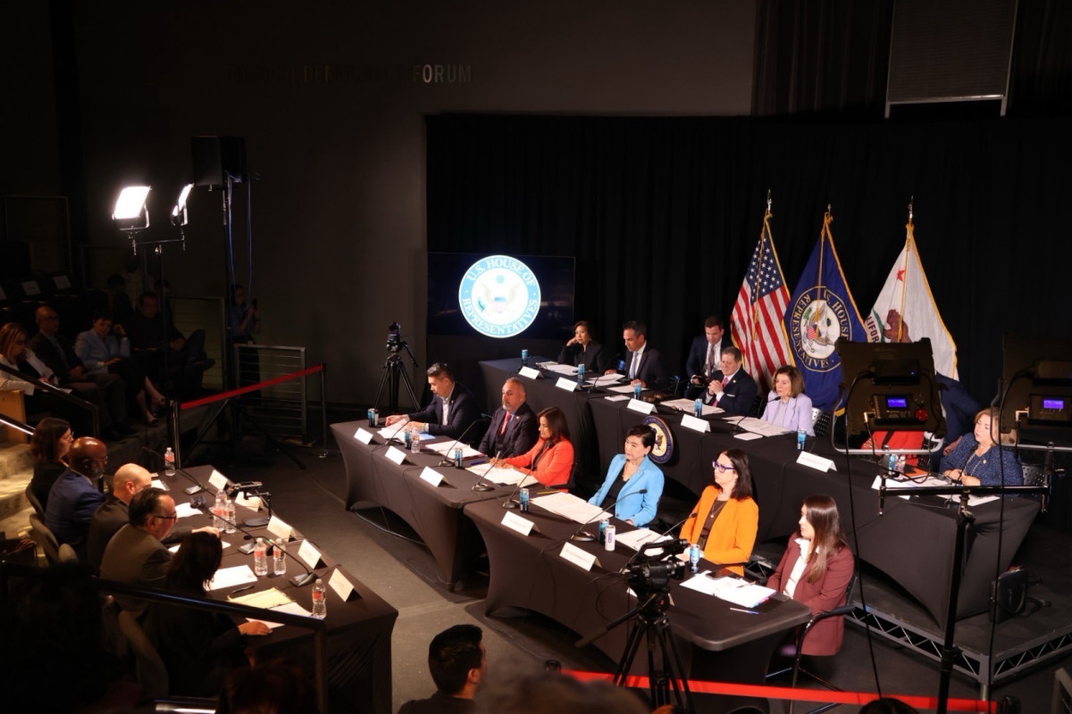 Shadow Hearing on Democracy 