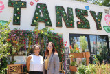 LSF at Tansy