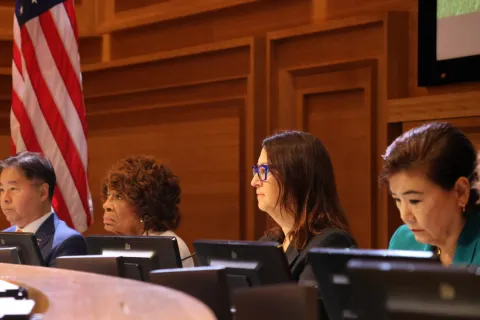 Rep. Friedman Olympics panel